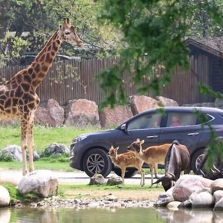 La Diletta - Di Charme 4* Verona